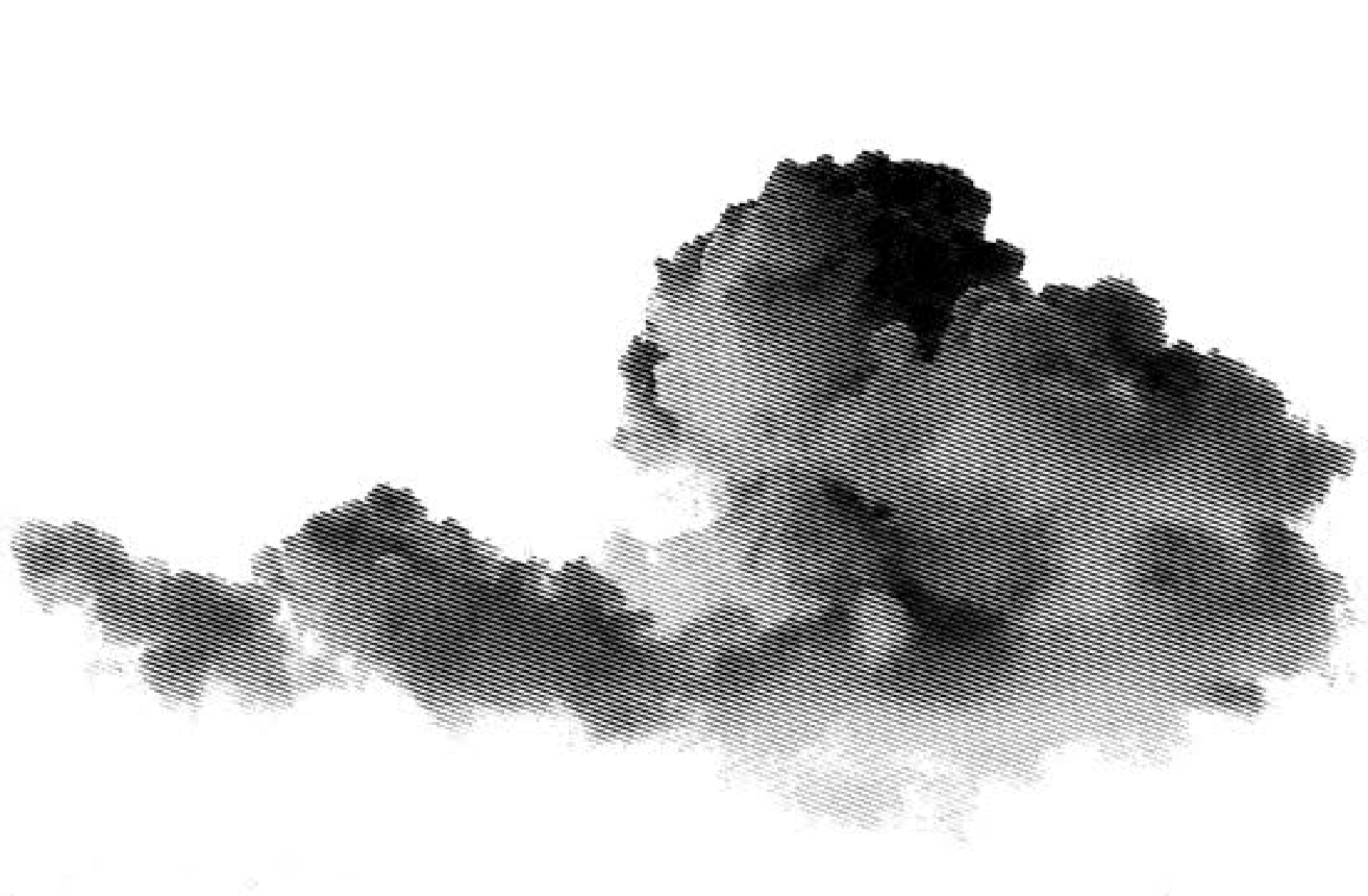 Wolke Silas Ernst Logo